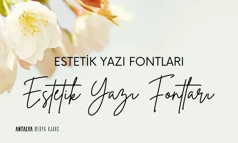 yazi-fontu-secimi-profesyonel-yazi-fontlari-