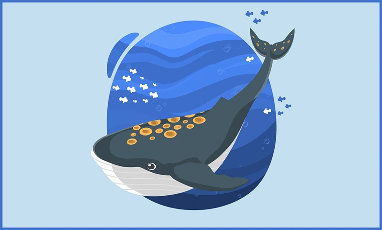 Barnacle SEO Stratejisi Nasıl Yapılır?