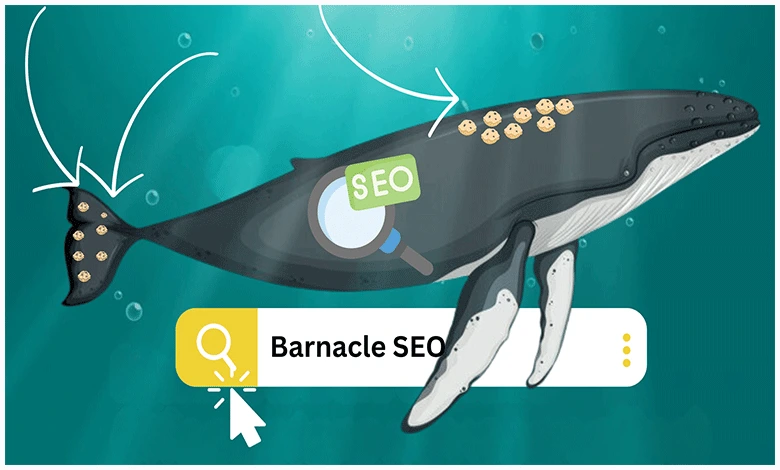 Barnacle SEO Stratejisi Nedir? Barnacle SEO Stratejisi Nasıl Yapılır?
