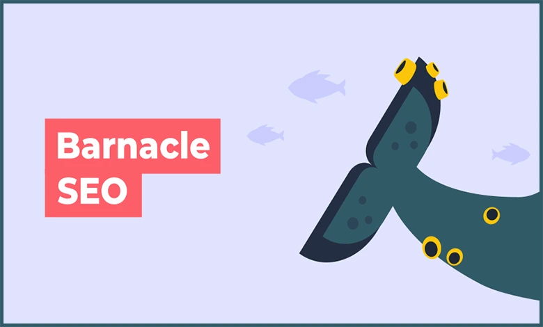 Barnacle SEO Stratejisi Nedir?