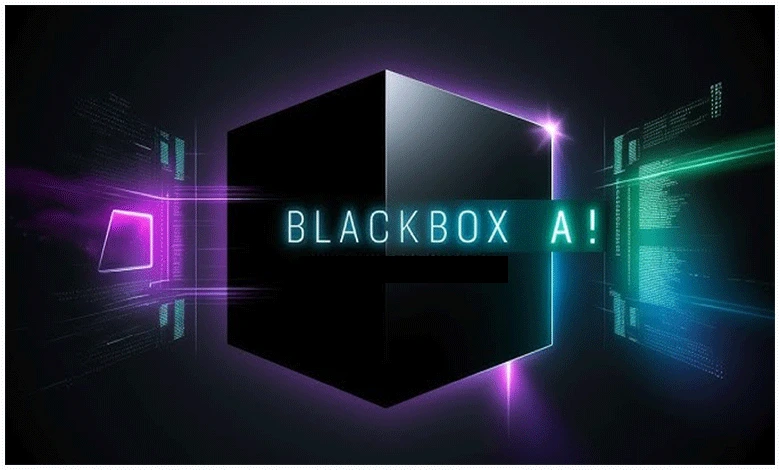 Blackbox AI Ne İşe Yarar?