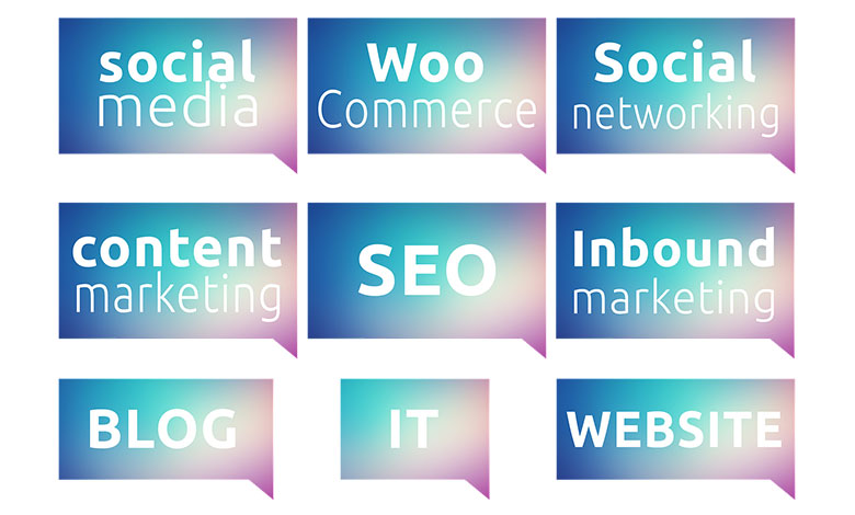 Web Sitesi İçeriği Nedir?